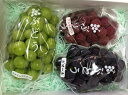 【ふるさと納税】FY18-805【令和2年産先行予約】山形産ぶどう 3種セット