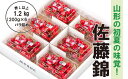 【ふるさと納税】FY19-188 山形市産佐藤錦 1.2kg...