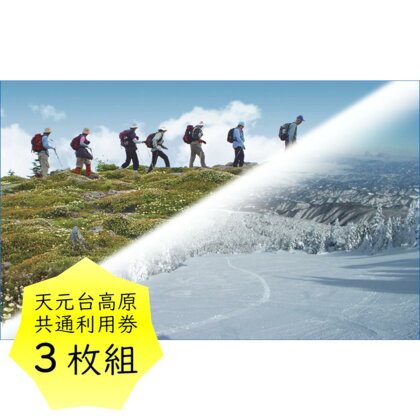 天元台高原 共通利用券 3枚組（3千円分） トレッキング スキー スノ−ボード