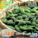 【ふるさと納税】A01-645 鶴岡特産 白山産だだちゃ豆(晩成)(1.5kg)