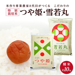 【<strong>ふるさと納税</strong>】≪新米予約≫ 特別栽培米 <strong>つや姫</strong> 雪若丸 各5kg 計10kg 精米 令和6年産米 山形県産 ご希望の時期頃にお届け 米 白米 庄内米 ブランド米 ごはん ご飯 農家直送 産地直送 2種 食べ比べ 味比べ セット 東北 山形県 酒田市 庄内 発送時期が選べる