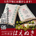 【ふるさと納税】平成29年産米10kg「清流寒河江川育ち 山...