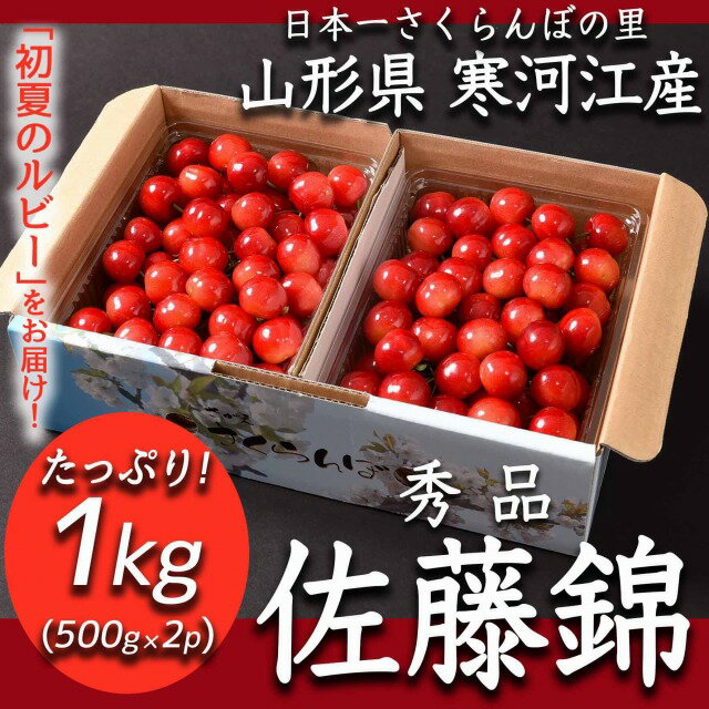 【ふるさと納税】さくらんぼ の 本場（ 山形県 寒河江 産） 佐藤錦 1kg （ 秀品 ・ Lサイズ 以上 ）