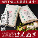 【ふるさと納税】平成29年産米10kg「清流寒河江川育ち 山...
