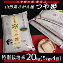 【ふるさと納税】つや姫 20kg ≪特別栽培米≫