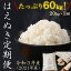 【ふるさと納税】令和3年産 たっぷり 60kg ！ はえぬき 新米 定期便 ！ 20kg ×3回 「清流寒河江川育ち 山形産 はえぬき」 ＜ 選べる 配送時期 ＞ 2021年産 今年秋 の 米 一等米 先行予約