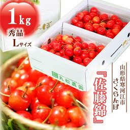 【<strong>ふるさと納税</strong>】 <strong>さくらんぼ</strong> 「佐藤錦」 1kg（500g×2） 秀品 Lサイズ 【2024年6月中旬頃～下旬頃発送予定】 ／ お取り寄せ ご当地 特産 フルーツ 果物 果実 くだもの サクランボ 1キロ 2024年産 令和6年 東北 <strong>ふるさと納税</strong> 果物 山形