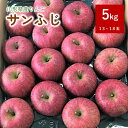 【ふるさと納税】りんご(サンふじ) 5kg 13~18玉 0056-2224