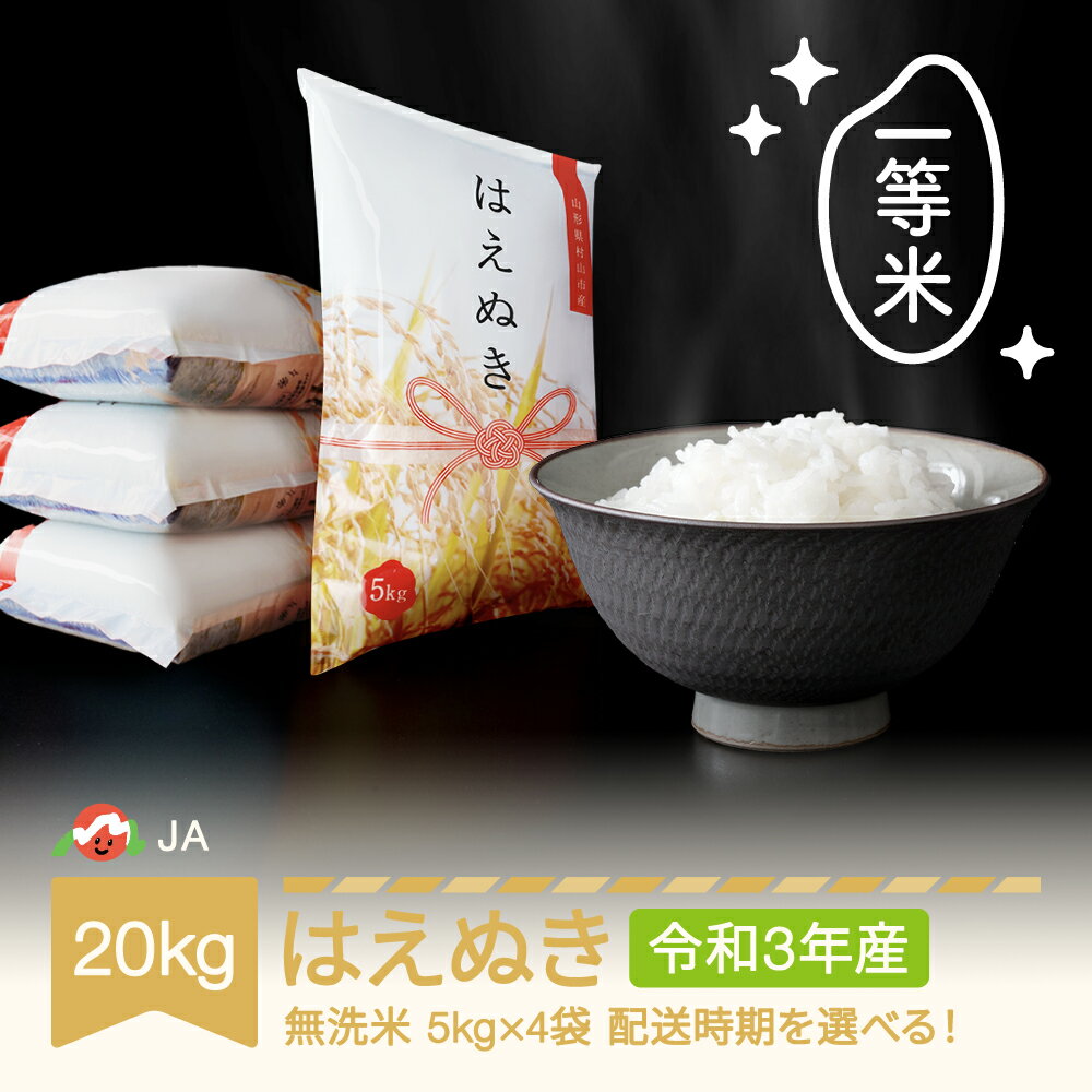 【ふるさと納税】 米 20kg 5kg×4 はえぬき 無洗米 令和3年産 山形県村山市産 送料無料