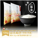 【ふるさと納税】 米 10kg 5kg×2 はえぬき 精米 令和2年産 2020年産 山形県村山市産 送料無料(クラウドファンディング対象)