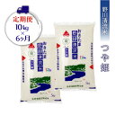 【ふるさと納税】【定期便6ヶ月】【令和4年産】野川清流米「つや姫」10kg(5kg×2袋)×6ヶ月_A120(R4)