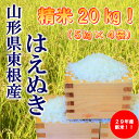 【ふるさと納税】A-170 29年産(29年12月送付分)_東根産米「はえぬき精米」5kg×4