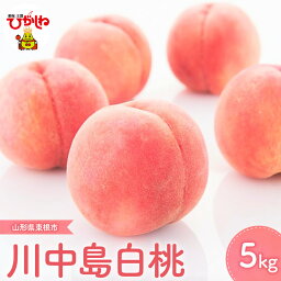 【ふるさと納税】もも 「 川中島 <strong>白桃</strong> 」5kg 2024年産 桃 モモ フルーツ 果物 くだもの 川中島<strong>白桃</strong> 箱入り 化粧箱 期間限定 大容量 冷蔵配送 先行予約 お取り寄せ グルメ ご当地 特産 産地直送 送料無料 東北 山形県 東根市