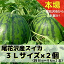 【ふるさと納税】尾花沢産スイカ3Lサイズ(約8~9kg)×2玉 7月下旬~8月中旬頃発送 令和4年産 尾花沢スイカ すいか 西瓜 送料無料 観光物産 K32