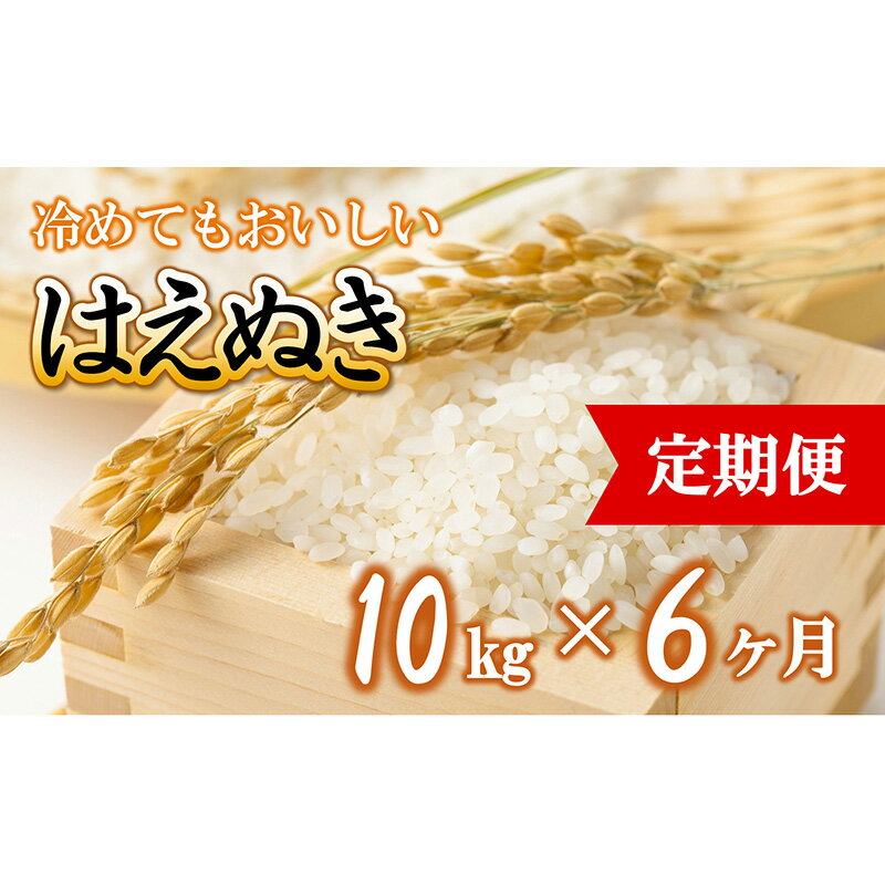 【ふるさと納税】 《<strong>定期便</strong>6回》 令和5年産 <strong>はえぬき</strong> (精米) <strong>10kg</strong>×6か月 『田口農園』 山形県 南陽市 [1126]