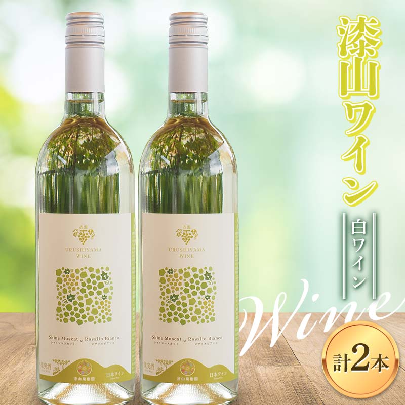 【ふるさと納税】 果樹園生まれの 「漆山ワイン (シャイン＆ロザリオ)」 750ml×2本セット 『漆山果樹園』 山形県 南陽市 [2078]