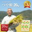 【ふるさと納税】米 令和4年産 つや姫 20kg 発送時期が選べる 5kg×4袋 特別栽培米山形県 河北町 産 一等米 特A 白米 精米 こめ ブランド米 ごはん ご飯 おにぎり コメ ライス 弁当 食べ物 食品 安心 安全 上質 送料無料 お取り寄せ【JAさがえ西村山】