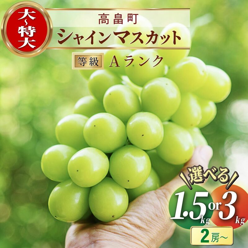 【ふるさと納税】シャインマスカット 総合ランキング上位入賞 先行予約 2024年 箱詰 1.5kg 2~3房 3kg 4~6房 | ふるさと納税 シャインマスカット ぶどう マスカット 高級 葡萄 果物 フルーツ 農家直送 山形県 高畠町 限定 ふるさと 人気 ランキング 送料無料 F20B-297