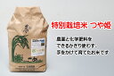 【ふるさと納税】石垣農園の特別栽培米つや姫5kg