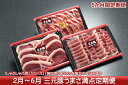【ふるさと納税】庄内三元豚!うまさ満点定期便(2月中旬より発...