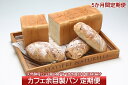 【ふるさと納税】カフェ余目製パン5か月定期便!(4月中旬より...