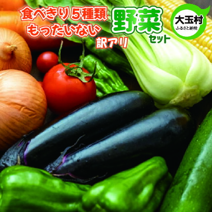 もったいない野菜　野菜セット（5種類）　野菜　新鮮　訳あり　食べ切り　SDGs【01068】