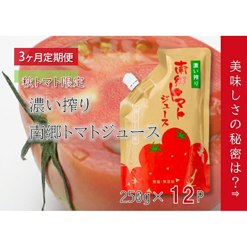 【ふるさと納税】3ヶ月定期便 濃い搾り 南郷トマトジュース 計36パック 12パック×3ヶ月 果汁飲料 野菜飲料 ストレート 無添加 野菜 トマト とまと