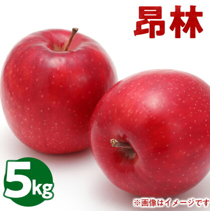 50-D　伊藤りんご園　昂林　5kg｜りんご 福島県産 リンゴ※2022年10月上旬頃～順次発送予定