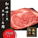 【ふるさと納税】 FT18-042 「いしかわ牛」または「福...