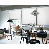 【ふるさと納税】TOSOロールスクリーン ルノプレーン【幅1210〜2000×高さ500〜1200】to03003 年末年始 お中元 お歳暮 内祝い 快気祝い