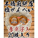 【ふるさと納税】【老舗 本橋煎餅店】堅焼き塩せんべい(唐辛子入)20枚入り 【和菓子・煎餅】