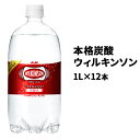【ふるさと納税】アサヒ 本格炭酸水ウィルキンソン 1L×12...