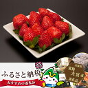【ふるさと納税】No.166 奥久慈産いちご 厳選大粒平詰め...
