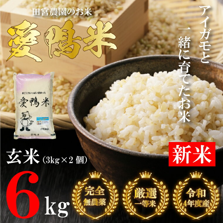 令和4年産「有機・無農薬玄米」おすすめ10農園+α|通販・ふるさと納税