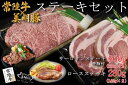 【ふるさと納税】【常陸牛・美明豚ステーキセット】常陸牛サーロインステーキ600g(300g×2枚)+美明豚ロースステーキ280g(140g×2枚)|DT-23