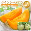 【ふるさと納税】糖度抜群!高級 奇跡のクインシーメロン(赤肉)2玉入り 17,000円