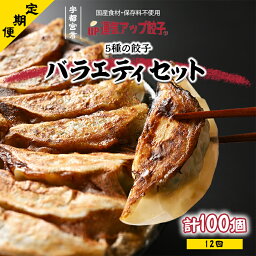 【ふるさと納税】【定期便12回】宇都宮餃子 5種類味比べ【ぎょうざ ギョウザ ギョーザ 冷凍食品 冷凍餃子 惣菜 夜ご飯 おかず おつまみ 手軽 時短 お取り寄せ グルメ 送料無料 栃木県 宇都宮市】※配送不可地域：離島