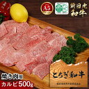 【ふるさと納税】とちぎ和牛・前日光和牛(焼き肉用カルビ500g) |肉 お肉 和牛 最高級 A5ランク A5等級 焼肉