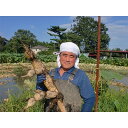 【ふるさと納税】赤川農園のレンコン箱詰め(3kg)【1098580】