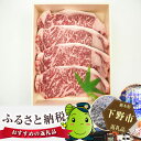 【ふるさと納税】No.009 栃木県牧場が作る国産牛サーロイ...