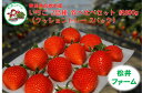 【ふるさと納税】A-221 前橋市産いちご 贈答用2品種食べ比べセット