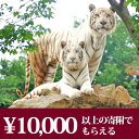 【ふるさと納税】群馬サファリパーク利用券(3割相当額)