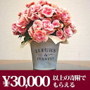【ふるさと納税】室内用インテリアフラワー A:ベゴニア「ボリ...