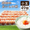 【ふるさと納税】岩田のおいしい卵 小玉49個+破卵保障5個入り【1077545】