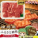 【ふるさと納税】No.002 上州牛(焼肉用)約500g