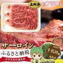 【ふるさと納税】No.015 上州牛(サーロイン)約750g...