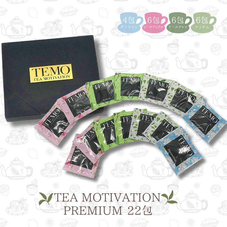 【ふるさと納税】TEA MOTIVATION PREMIUM 4種 22包