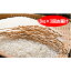 【ふるさと納税】特別栽培米「彩のきずな」白米9kg（3kg×3回のお届け）　【定期便・お米・3回便】