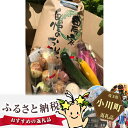 【ふるさと納税】No.020 有機農家の季節の野菜と白米10...
