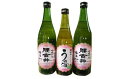 【ふるさと納税】地酒梅酒セット(純米大吟醸仕込500ml×1...